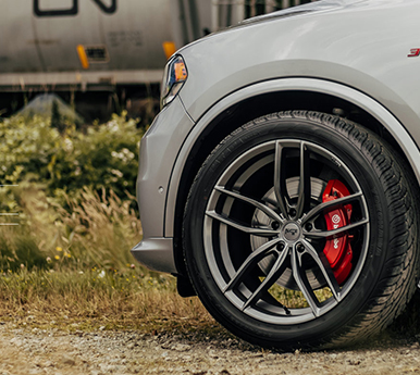 Dealer Niche Indonesia